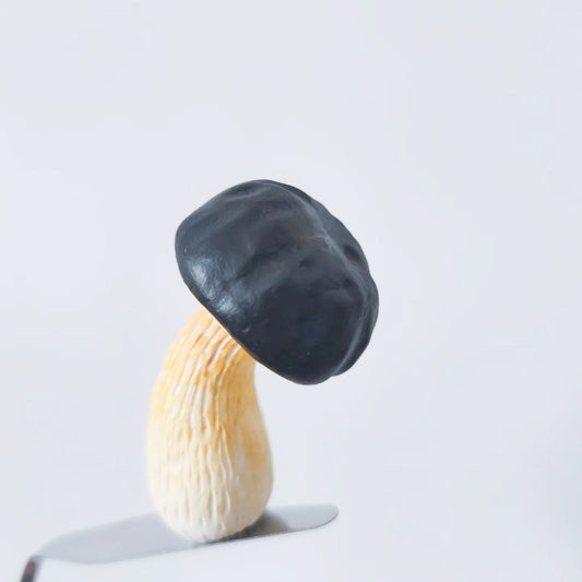 Black Boletus Fridge Magnet