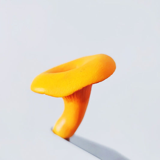 Chanterelle Clay Fridge Magnet