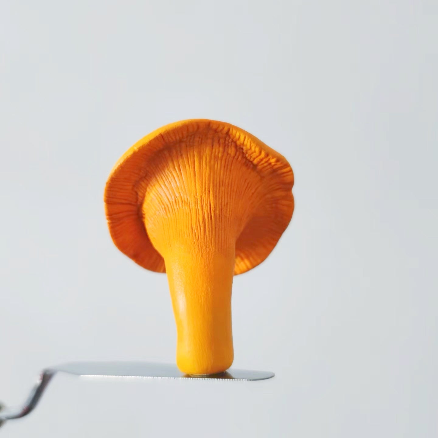 Chanterelle Clay Fridge Magnet