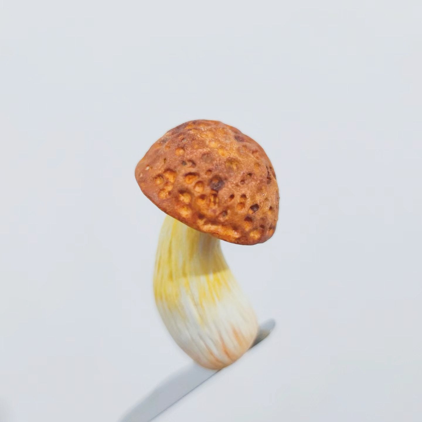 Yellow Boletus Clay Fridge Magnet